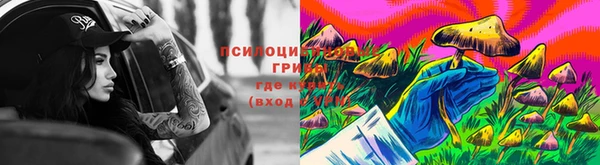 героин Няндома
