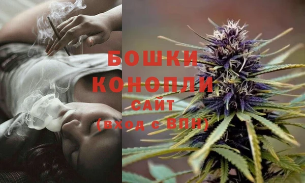 дживик Нязепетровск