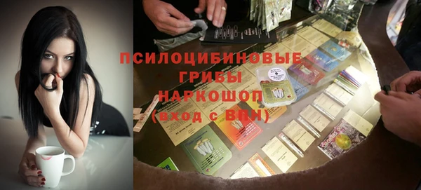 дживик Нязепетровск