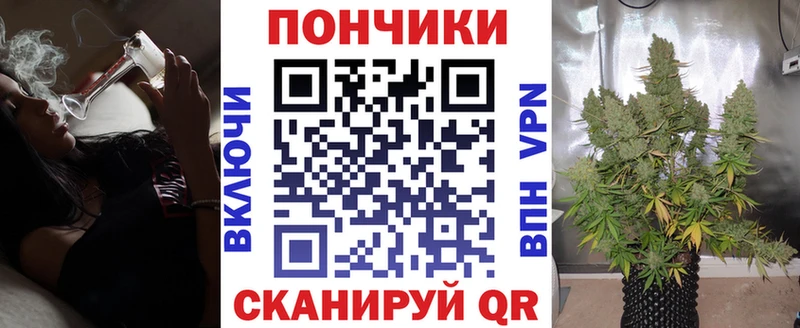 Шишки марихуана сатива Ставрополь